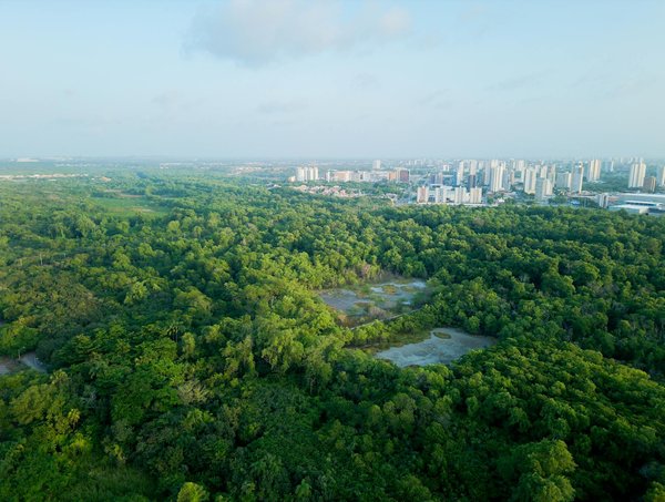 Qu'est-ce qu'un contrat d'apporteur d'affaires?