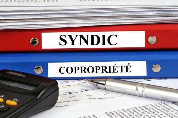 Top conseils pour choisir un syndic de copropriété à pau